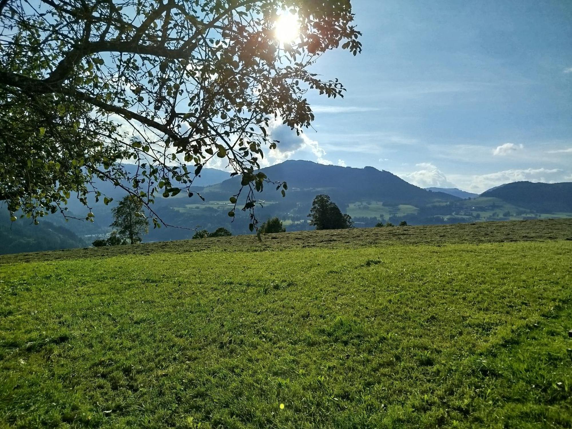 Apartamento Biobauernhof Schuster Hopfgarten im Brixental Exterior foto